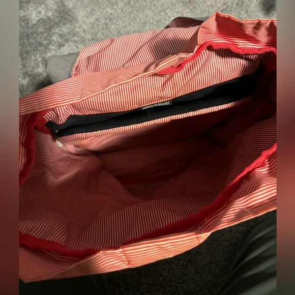 Backpack - Picture 3 of 3